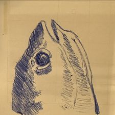 Profile image of aylo_
