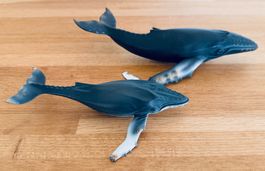 COLLECTA + MAIA & BOR. - Buckelwal + Junges - wie SCHLEICH