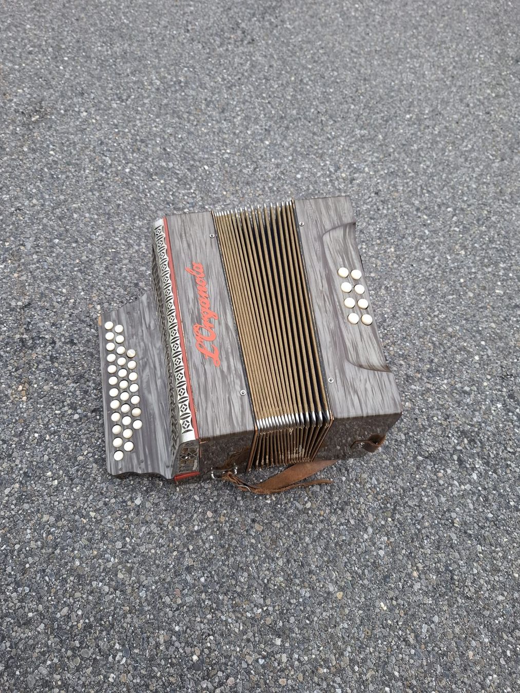 Strumenti musicali: accordéon diatonique 8 basses  – Usato da Pont-de-la-Morge venduto da Mirabelle0 8