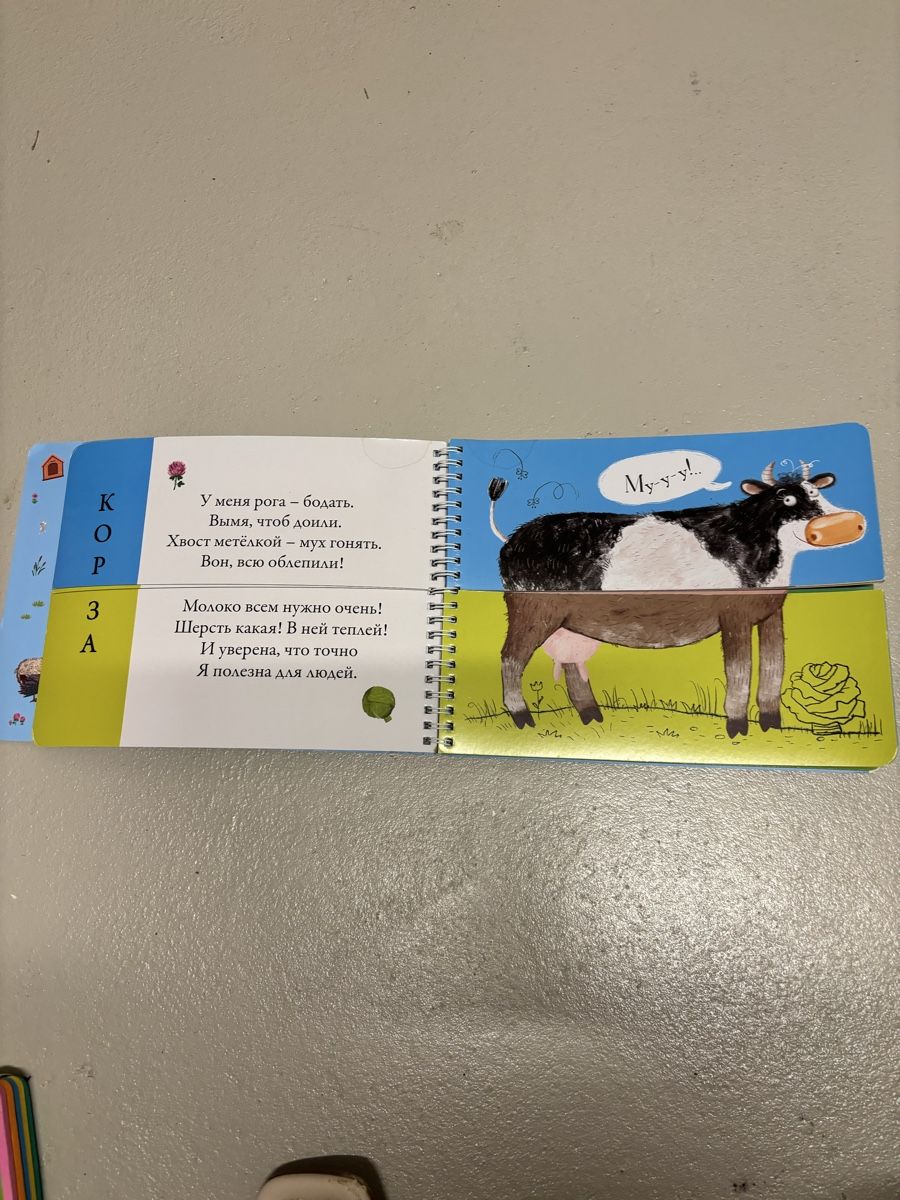 Libri: Kinderbuch auf Russisch – Usato da Zollikofen venduto da ale_w2sw 4