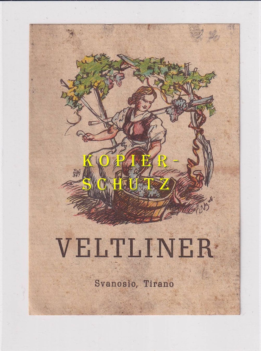 Papier: Etikette - VELTLINER /bd – D'occasion à Hombrechtikon par Rudolf07