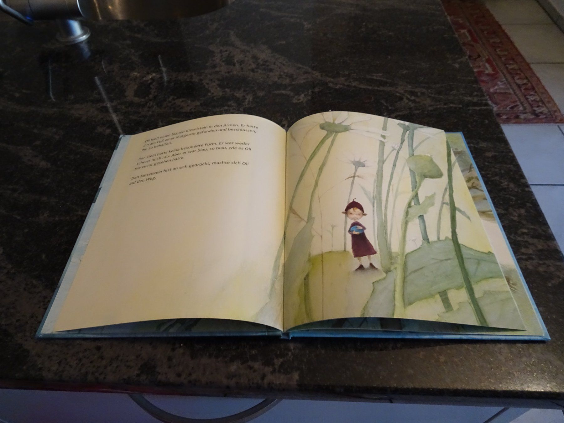 Bücher: Bilderbuch Der Blaue Stein Schöne Bilder / – Gebraucht aus Zürich von Roulet 2