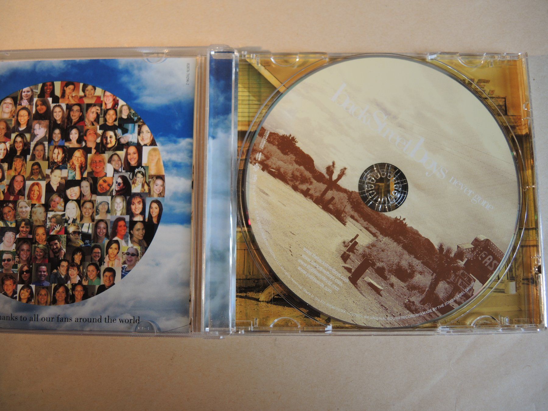 CD: Backstreet Boys - Never Gone CD – Usato da Rorschach venduto da maeck8 1