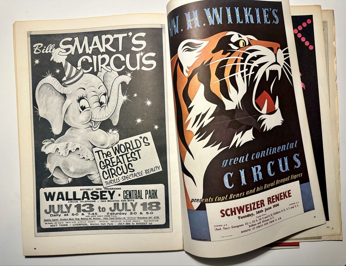 Libri: 100 Jahre Circus Plakate – Usato da Zürich venduto da bella027 4