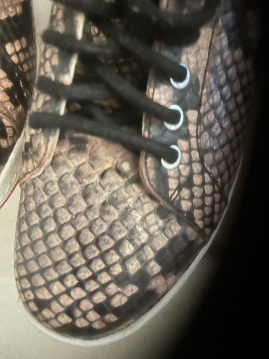 Scarpe da donna: Baskets Paul Smith  – Nuovo (secondo la descrizione) da Prilly venduto da CHAGALL15 1