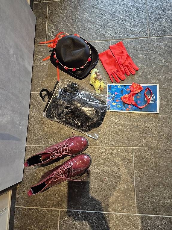 Costumi: Marry Poppins Kostüm – Usato da Gelterkinden venduto da m.sigi 1