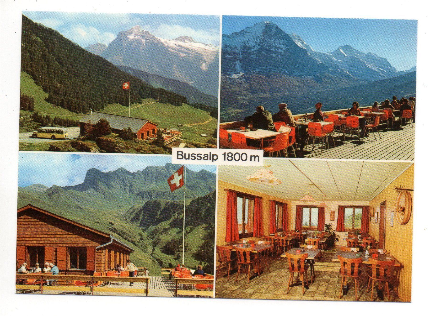 Cartoline postali: GRINDELWALD Bergestaurant Bussalp - Postauto – Nuovo (secondo la descrizione) da Jona venduto da philajona