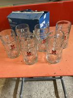 Lot de 6 verre à bière  Feldchlösschen 1L,