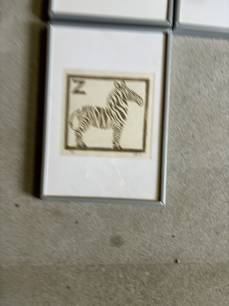 Foto & Immagini: Complete Framed Alphabet Animal Wall graphics framed – Usato da Biel-Benken BL venduto da ste_86wx 4