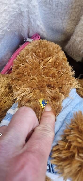 Jouets: teddybar aus bärfabrik – D'occasion à Oberengstringen par bibiso 3
