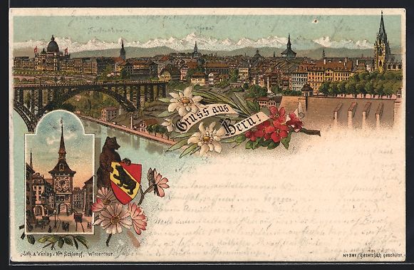 Cartoline postali: Vorläufer-Lithographie Bern, 1895, Tota – Usato da Berlin venduto da bartko-reher