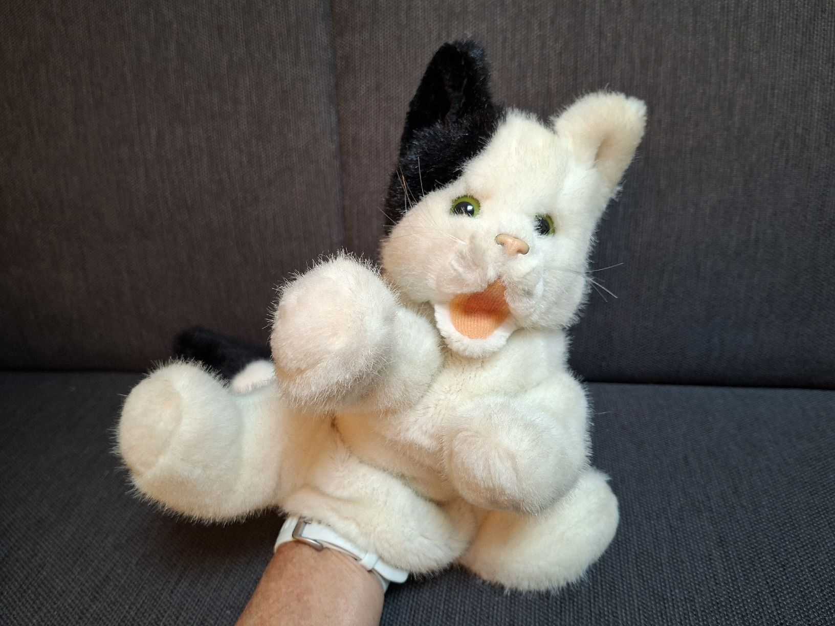 Spielzeuge: Handpuppe Katze Timmi schwarz/weiss – Gebraucht aus Bilten von ecobi 2