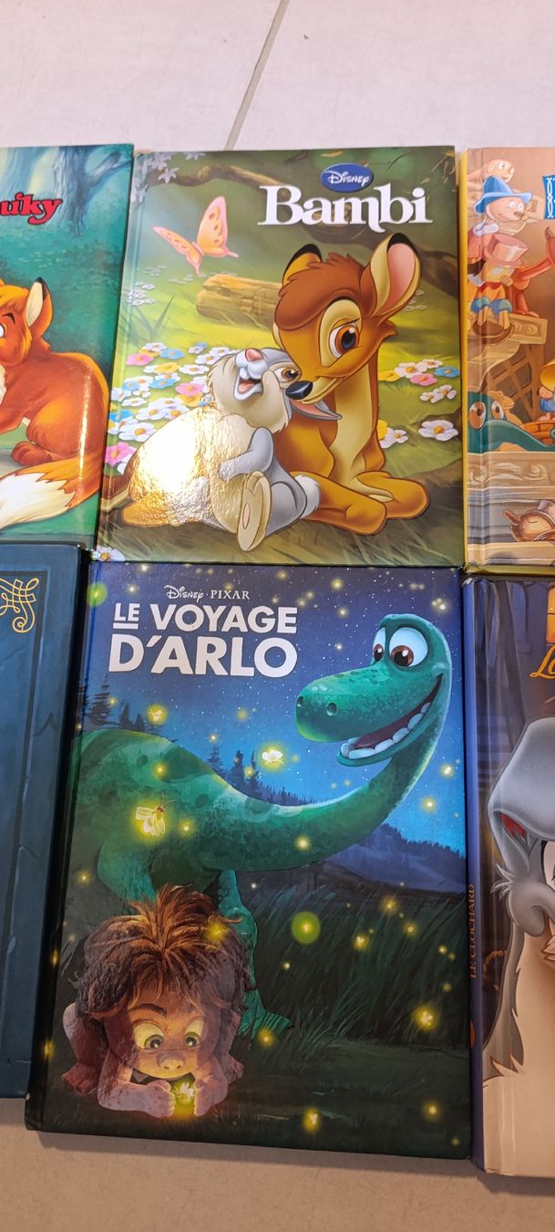 Bücher: 6 livres Disney – Gebraucht aus Mont-la-Ville von Ecu23hj 2
