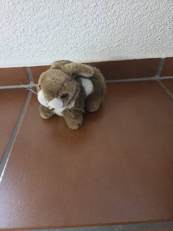 Jouets: Plüschtiere – D'occasion à Schachen b. Reute par jes_69lq