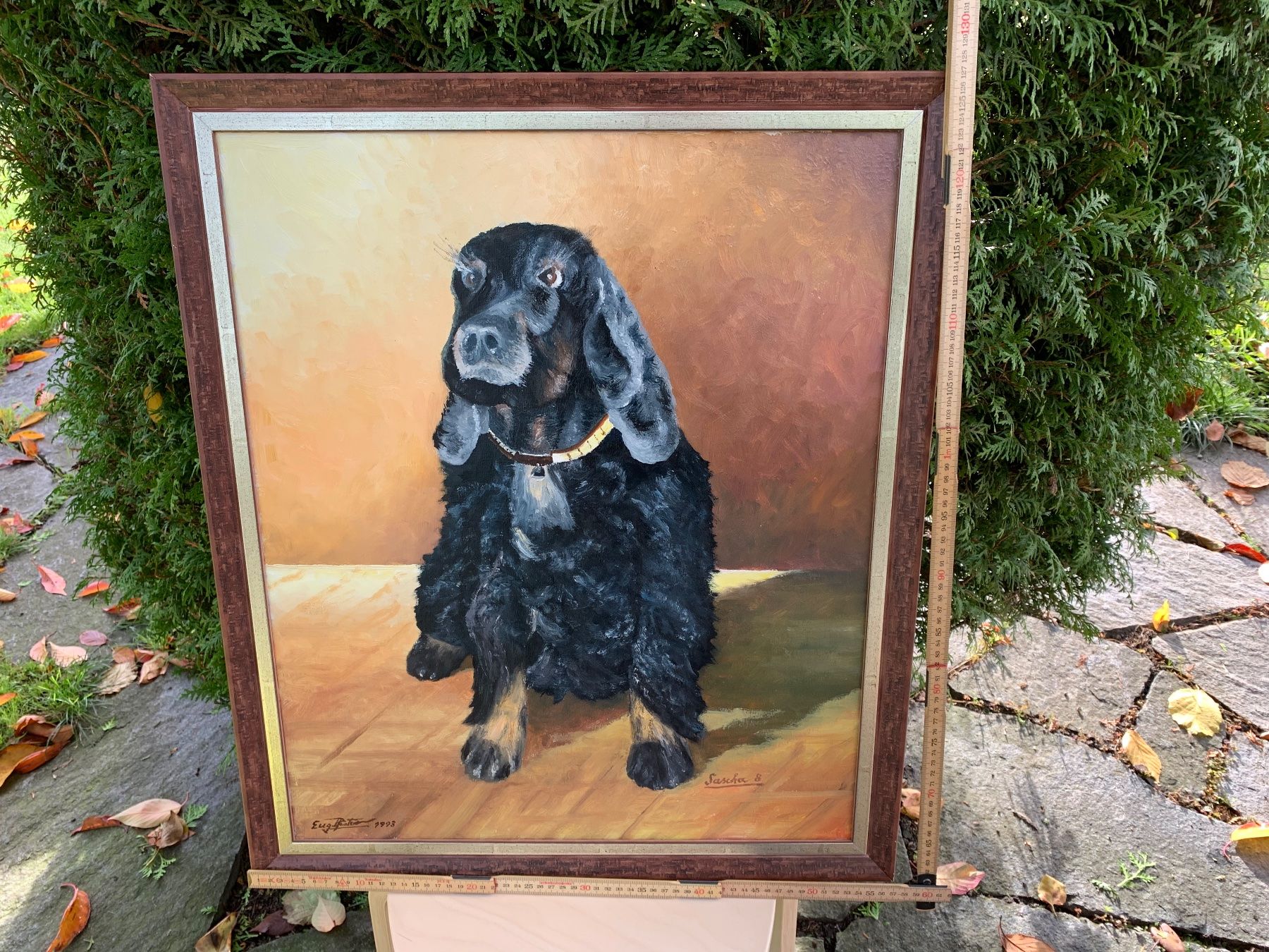 Dipinti: Cocker Spaniel von Eugen Pfister – Usato da Feldbach venduto da Olive1 3