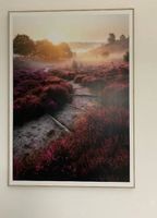 Gerahmte Naturfotografie: Ruhige Landschaft