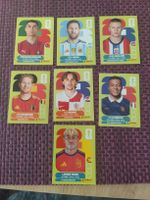 Panini Sticker 7 Stars