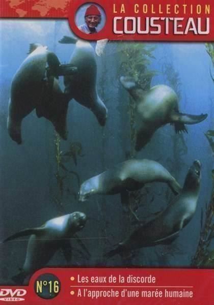 Fumetti: Cousteau : Les Requins-Marteaux ìle Coco – Usato da Genève venduto da Cockattoo