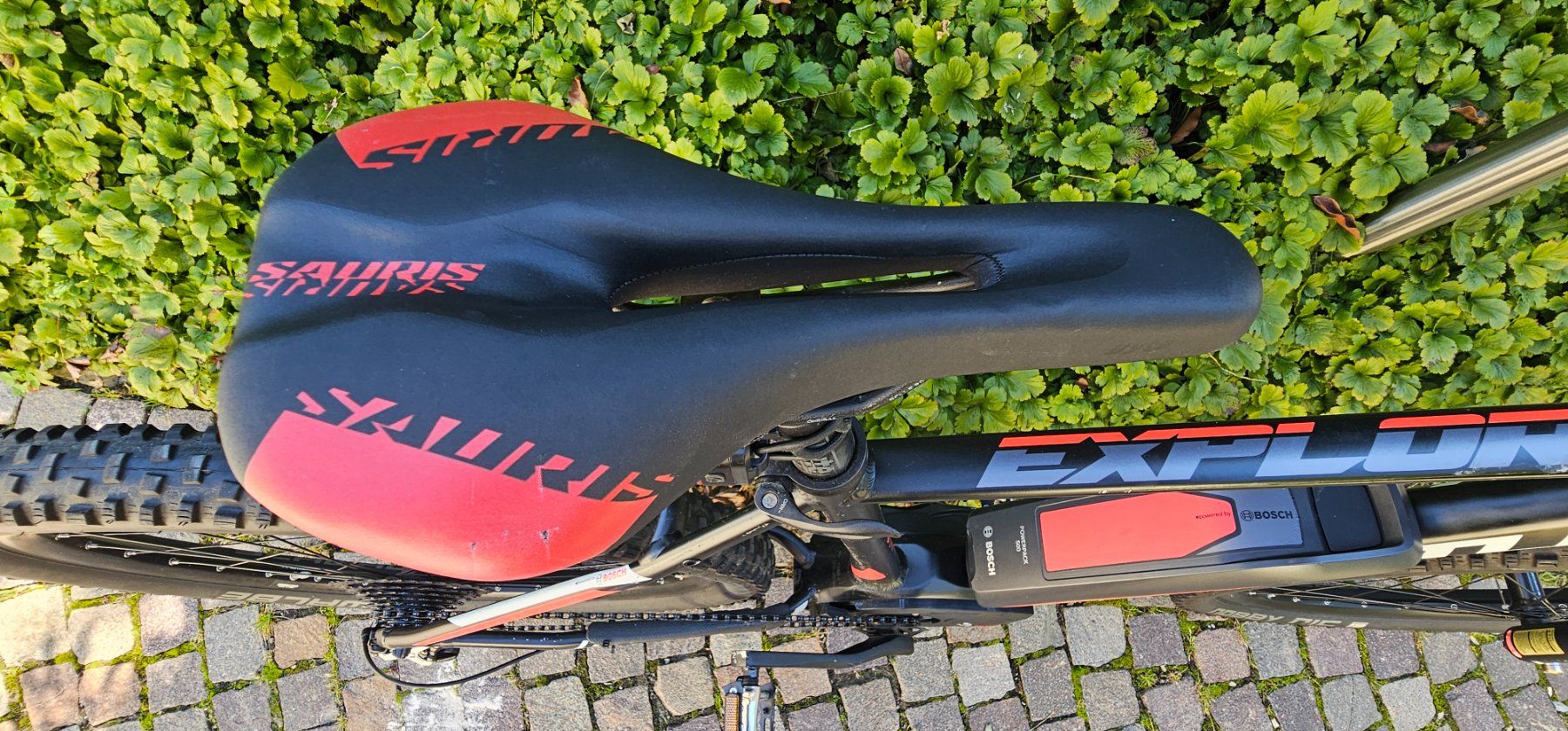 Biciclette: E-Mountainbike – Usato da St. Gallen venduto da 62_Kaiser 2
