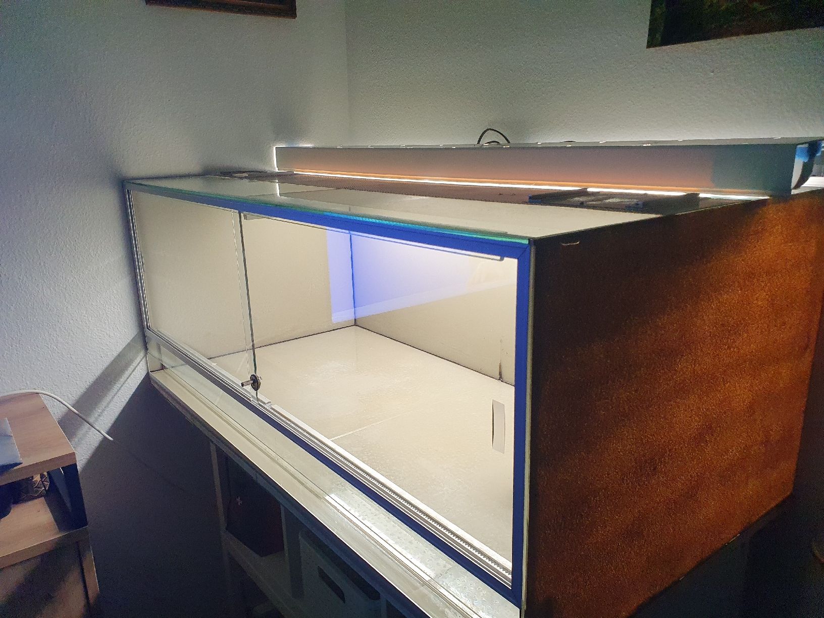 Terrario: Terrarium – Usato da Belp venduto da Liacheyenne 1
