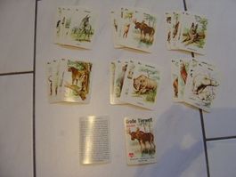 Quartett *Grosse Tierwelt* Bielefelder