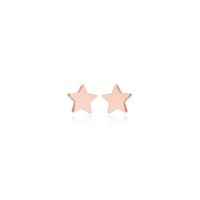 Ohrringe Ohrstecker 925 Silber roségold Stern klein fein 5mm