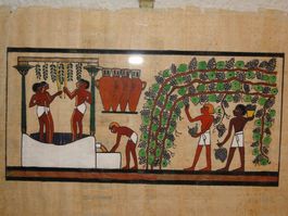 Originalpapyrus in Plexiglas 1980er