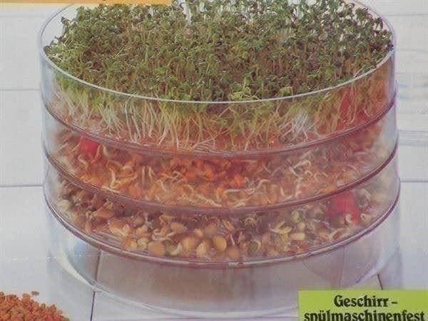 Elettrodomestici da cucina: TOP BIO-SNACKY - SPROSSEN-KEIM-GERÄT – Usato da Emmenbrücke venduto da soljanka 2