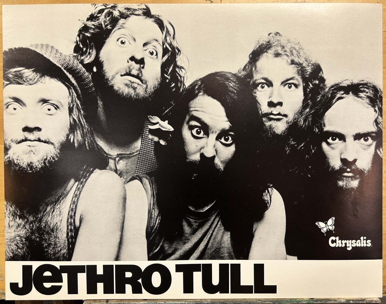 CD: Jethro Tull - Crest Of A Knave – Usato da Muri b. Bern venduto da AdidasCollector 2
