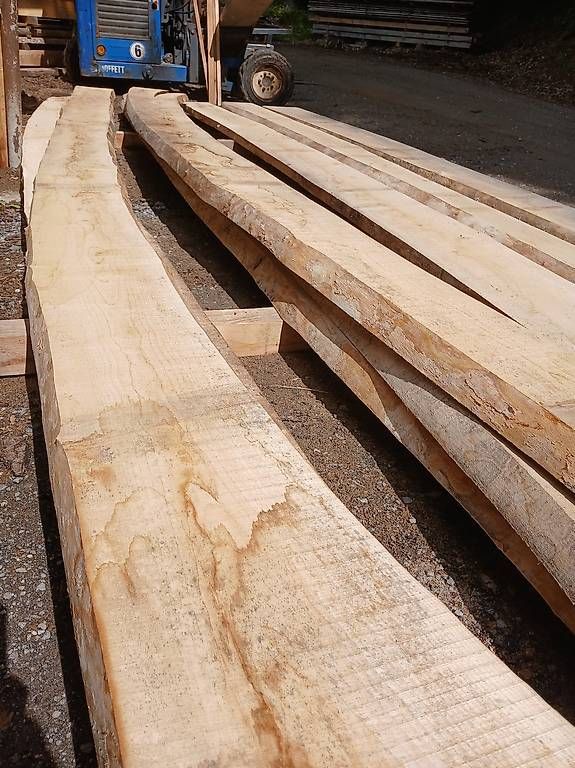 Articoli in legno: Ahorn bretter – Nuovo (secondo la descrizione) da Willisau venduto da wood1988