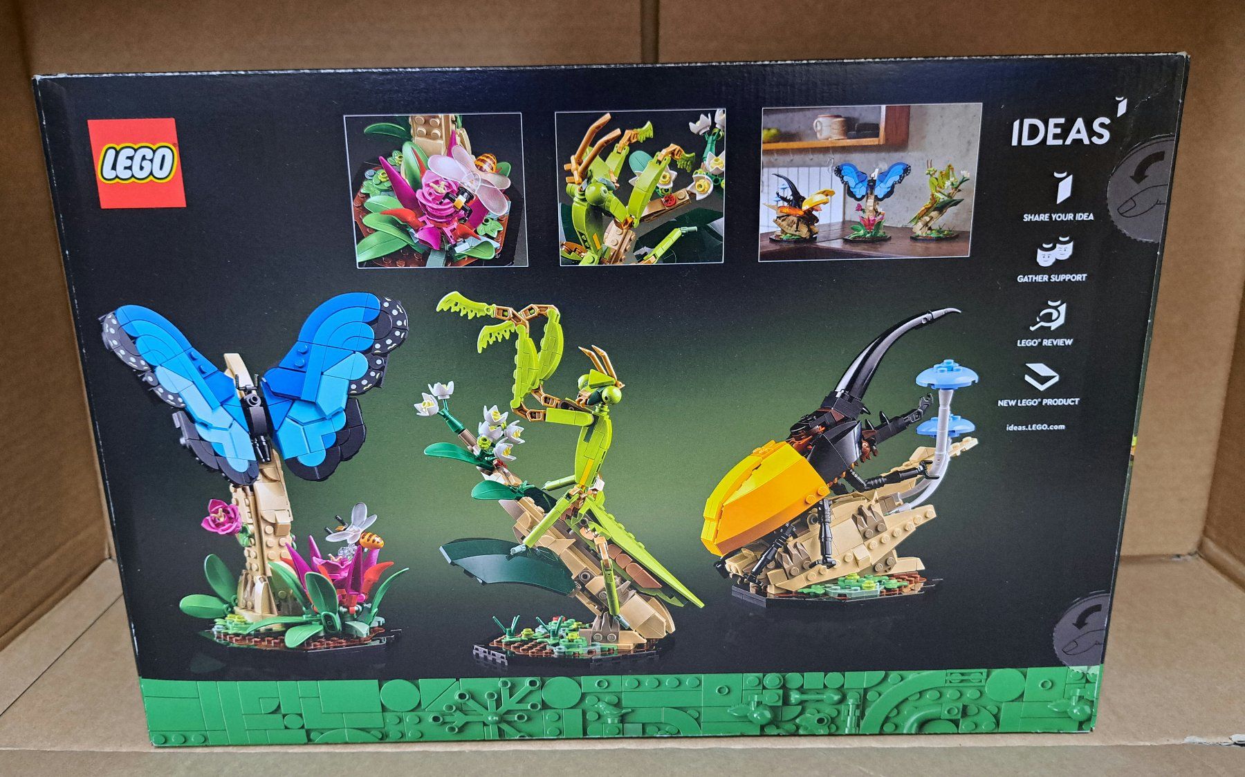 Lego Kit di costruzioni: Lego Ideas 21342  Insekten Sammlung – Nuovo e nell'imballaggio originale da Igis venduto da magneto_hg 1