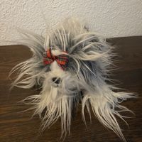 Yomiko Classics Shih Tzu Stofftier - Top Zustand!