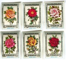 Briefmarken "Rosen". Syrien.