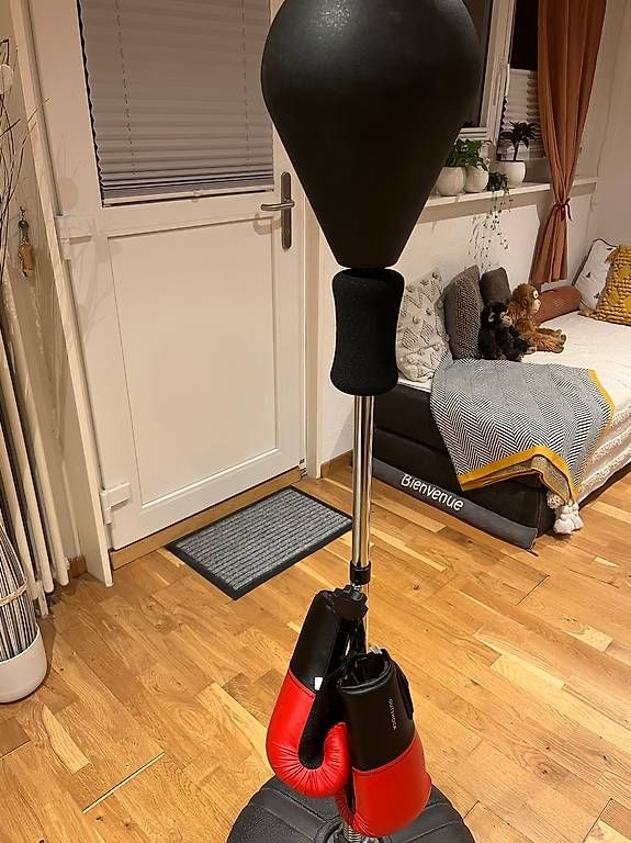 Sacchi da boxe: Punching ball – Usato da Lonay venduto da Angelafidji13
