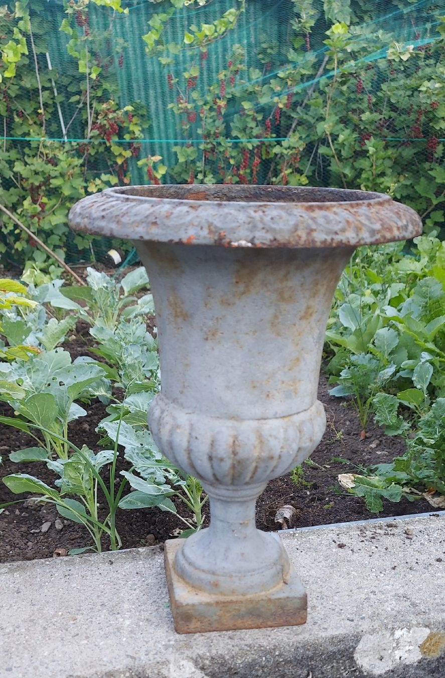 Vasen & Gefässe: vase en fonte Médicis  – Gebraucht aus St-Gingolph von Daillens