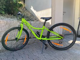 Naloo Chameleon Kindervelo 24