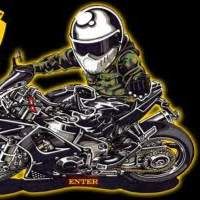 Profile image of Triumph76