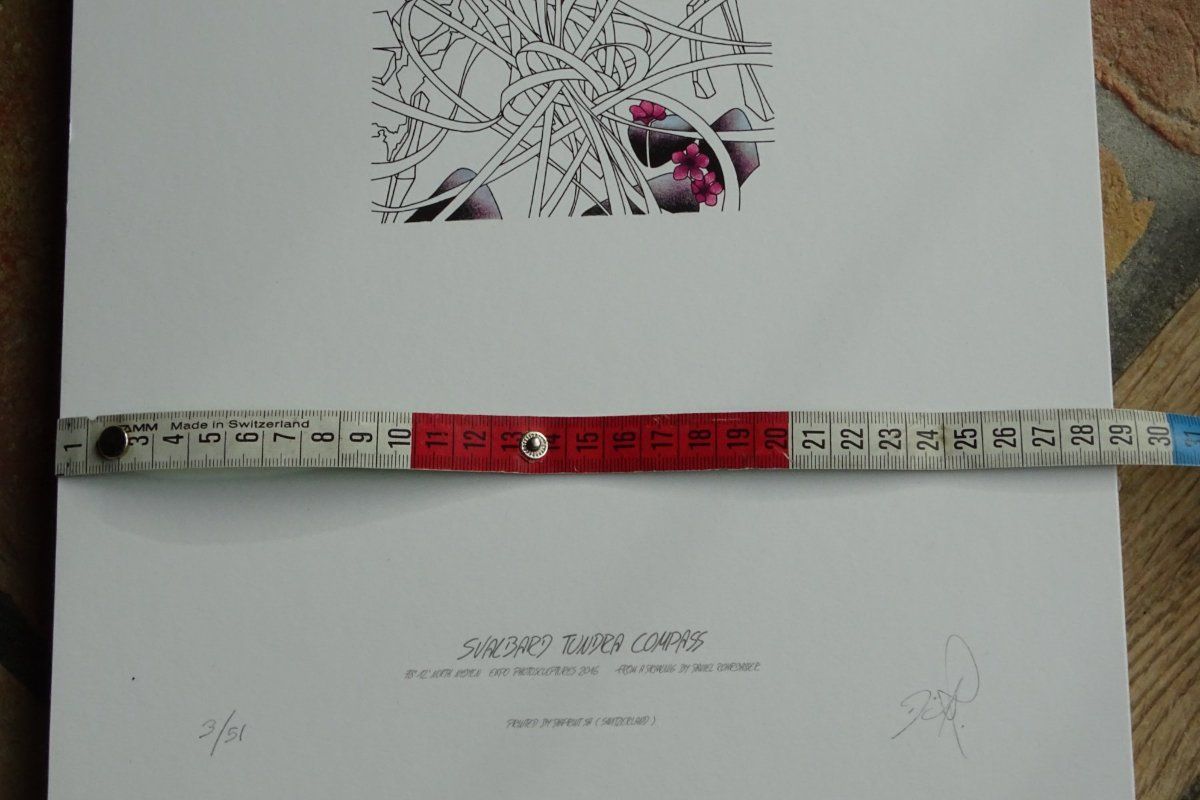 Dipinti: Tableau SVALBARD TUNDRA COMPASS Spitzberg Daniel Rohrbasser – Nuovo (secondo la descrizione) da Lugnorre venduto da gg17 8