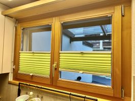 Fenster Plisse
