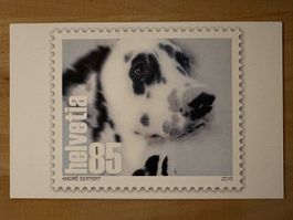 AK mit Tier Briefmarken Motiv von André Seiffert
