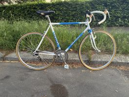 Mondial Fahrrad Gr. 54