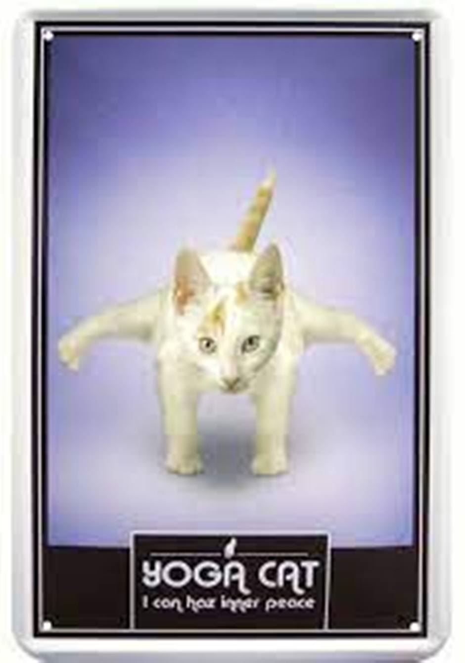 Ecriteaux: Blechschild-YOGA CAT NR. 3 - WEISS – Neuf avec emballage d'origine à Rupperswil par big-one-sale