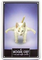Blechschild-YOGA CAT NR. 3 - WEISS