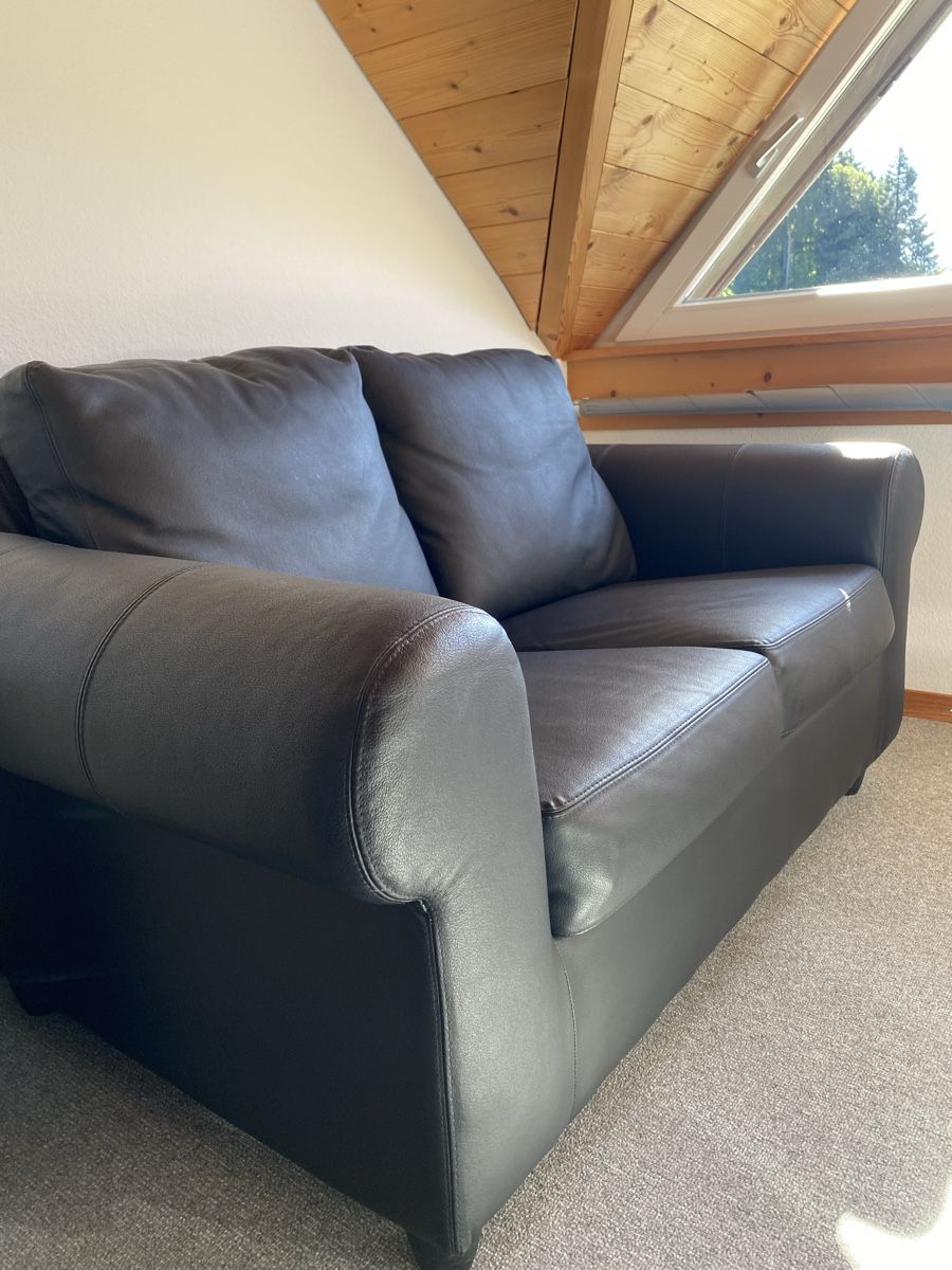 Divani: Bequemes 2-Sitzer-Sofa aus Kunstleder – Usato da Ebnat-Kappel venduto da sus_s2gg 1