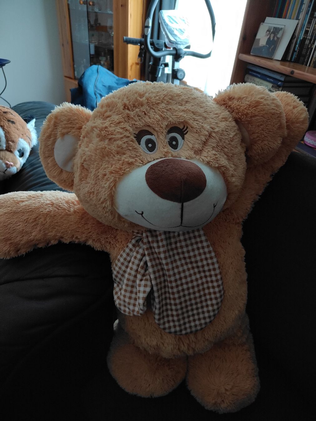 Giocattoli: Teddybär – Nuovo (secondo la descrizione) da Olten venduto da Ritababy 1