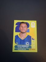 BIH 17 Panini WM 2026