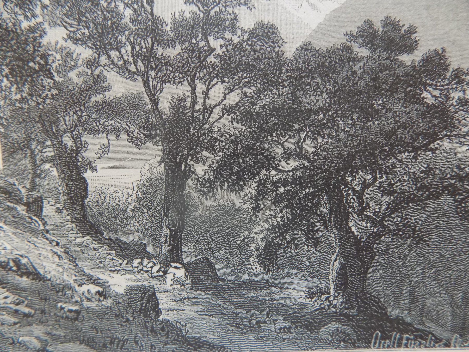 Gravures: Monte Ceneri Ticino – D'occasion à Risch par Antikfee 4