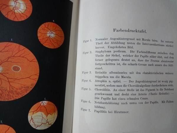 Libri: Wredens Samml. Medizinischer Lehrbücher – Usato da Chur venduto da omonia 7