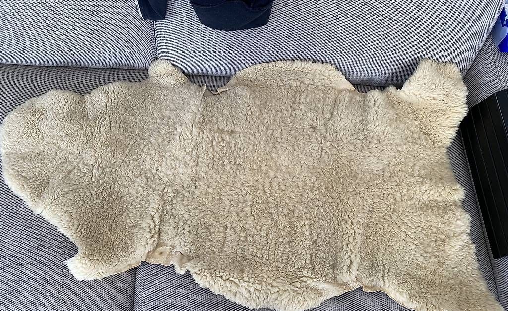 Coperte: Schaffell echt – Usato da Zürich venduto da emw_cpq8