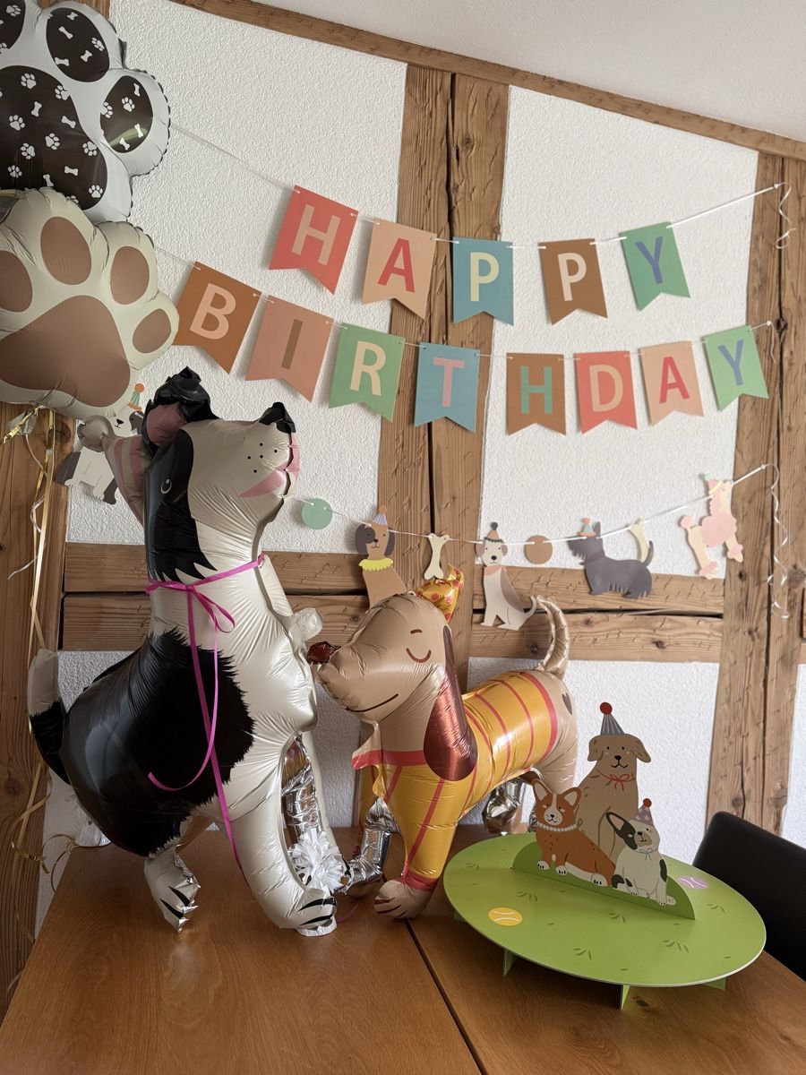 Tutte le decorazioni: Hunde Deko Kindergeburtstag – Usato da Strengelbach venduto da schnaeusel